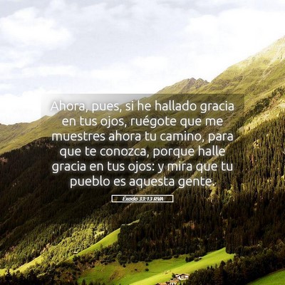 Picture 05 - Éxodo 33:13 RVA - Ahora, pues, si he hallado gracia en tus ojos, - Bible Verse Picture