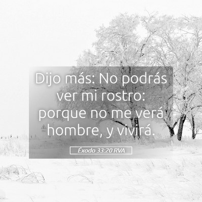 Picture 05 - Éxodo 33:20 RVA - Dijo más: No podrás ver mi rostro: porque no me - Bible Verse Picture