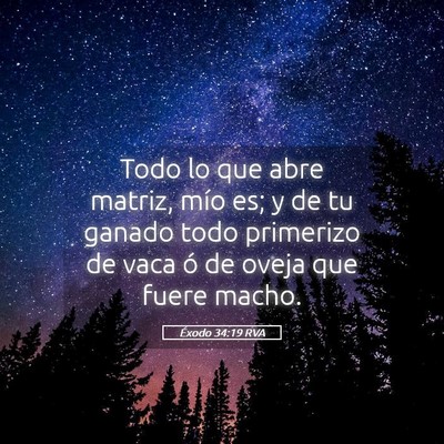 Picture 05 - Éxodo 34:19 RVA - Todo lo que abre matriz, mío es; y de tu ganado - Bible Verse Picture