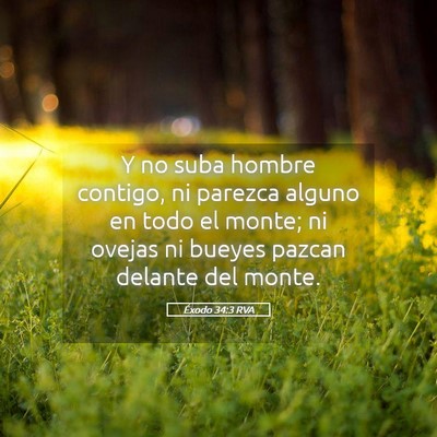 Picture 05 - Éxodo 34:3 RVA - Y no suba hombre contigo, ni parezca alguno en - Bible Verse Picture