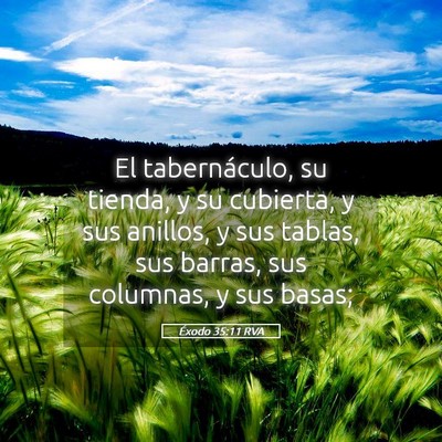 Picture 05 - Éxodo 35:11 RVA - El tabernáculo, su tienda, y su cubierta, y sus - Bible Verse Picture