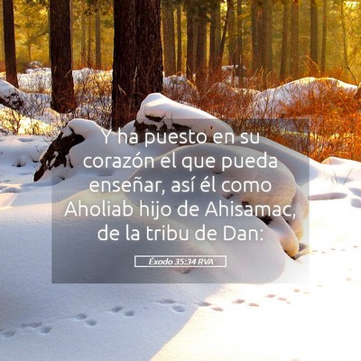 Picture 05 - Éxodo 35:34 RVA - Y ha puesto en su corazón el que pueda enseñar, - Bible Verse Picture