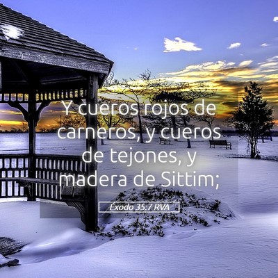 Picture 05 - Éxodo 35:7 RVA - Y cueros rojos de carneros, y cueros de tejones, - Bible Verse Picture