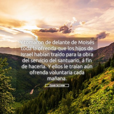 Picture 05 - Éxodo 36:3 RVA - Y tomaron de delante de Moisés toda la ofrenda - Bible Verse Picture