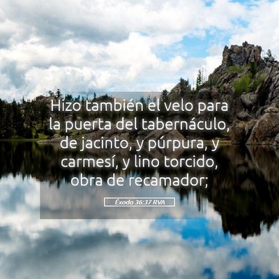 Picture 05 - Éxodo 36:37 RVA - Hizo también el velo para la puerta del - Bible Verse Picture