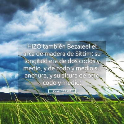 Picture 05 - Éxodo 37:1 RVA - HIZO también Bezaleel el arca de madera de - Bible Verse Picture