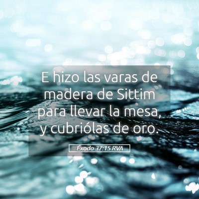 Picture 05 - Éxodo 37:15 RVA - E hizo las varas de madera de Sittim para llevar - Bible Verse Picture