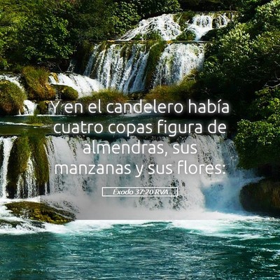 Picture 05 - Éxodo 37:20 RVA - Y en el candelero había cuatro copas figura de - Bible Verse Picture