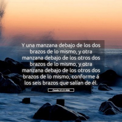 Picture 05 - Éxodo 37:21 RVA - Y una manzana debajo de los dos brazos de lo - Bible Verse Picture