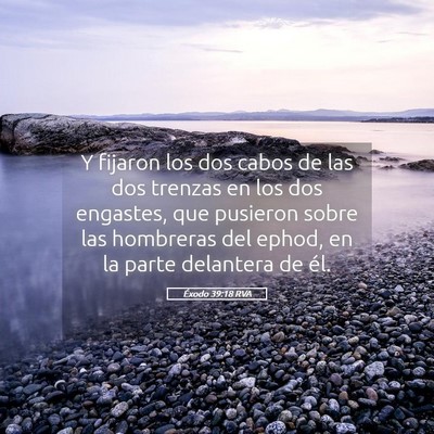 Picture 05 - Éxodo 39:18 RVA - Y fijaron los dos cabos de las dos trenzas en los - Bible Verse Picture