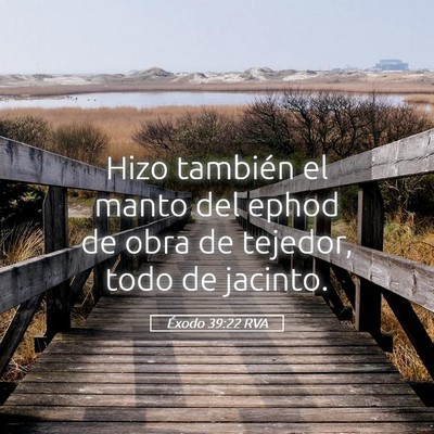 Picture 05 - Éxodo 39:22 RVA - Hizo también el manto del ephod de obra de - Bible Verse Picture