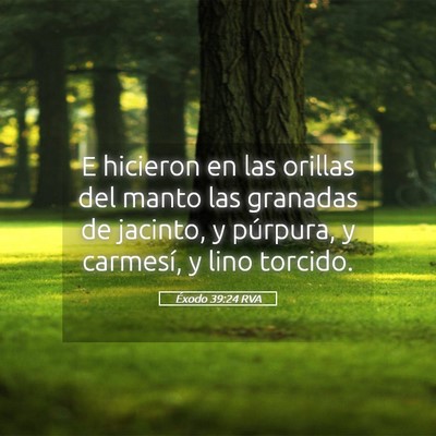 Picture 05 - Éxodo 39:24 RVA - E hicieron en las orillas del manto las granadas - Bible Verse Picture