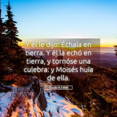 Picture 05 - Éxodo 4:3 RVA - Y él le dijo: Échala en tierra. Y él la echó - Bible Verse Picture