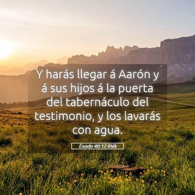 Picture 05 - Éxodo 40:12 RVA - Y harás llegar á Aarón y á sus hijos á la - Bible Verse Picture