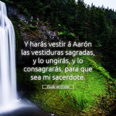 Picture 05 - Éxodo 40:13 RVA - Y harás vestir á Aarón las vestiduras - Bible Verse Picture