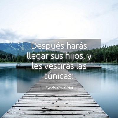 Picture 05 - Éxodo 40:14 RVA - Después harás llegar sus hijos, y les vestirás - Bible Verse Picture