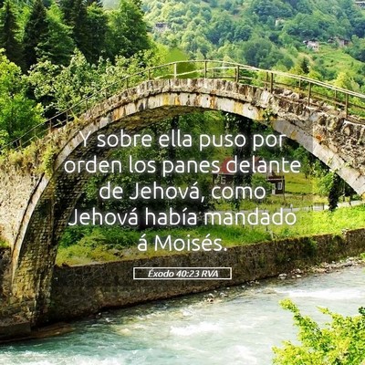 Picture 05 - Éxodo 40:23 RVA - Y sobre ella puso por orden los panes delante de - Bible Verse Picture