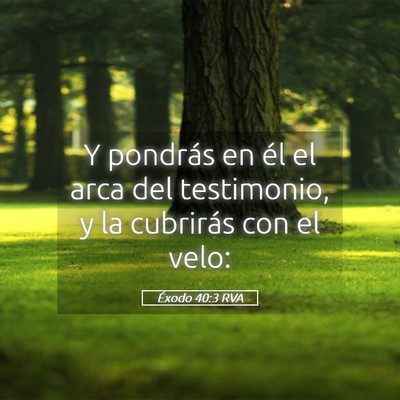 Picture 05 - Éxodo 40:3 RVA - Y pondrás en él el arca del testimonio, y la - Bible Verse Picture