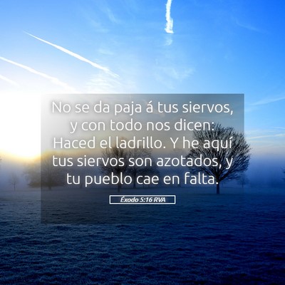 Picture 05 - Éxodo 5:16 RVA - No se da paja á tus siervos, y con todo nos - Bible Verse Picture