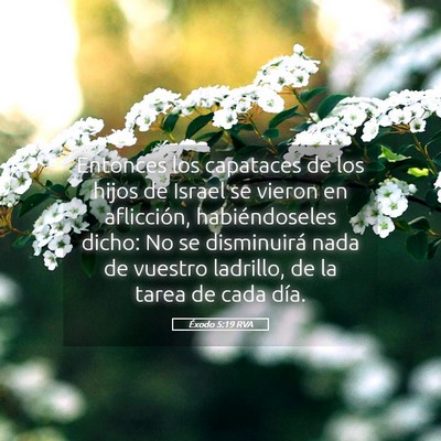 Picture 05 - Éxodo 5:19 RVA - Entonces los capataces de los hijos de Israel se - Bible Verse Picture