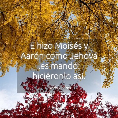 Picture 05 - Éxodo 7:6 RVA - E hizo Moisés y Aarón como Jehová les mandó: - Bible Verse Picture
