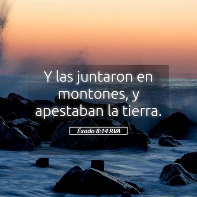 Picture 05 - Éxodo 8:14 RVA - Y las juntaron en montones, y apestaban la - Bible Verse Picture