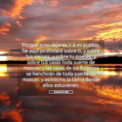 Picture 05 - Éxodo 8:21 RVA - Porque si no dejares ir á mi pueblo, he aquí yo - Bible Verse Picture
