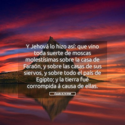 Picture 05 - Éxodo 8:24 RVA - Y Jehová lo hizo así: que vino toda suerte de - Bible Verse Picture