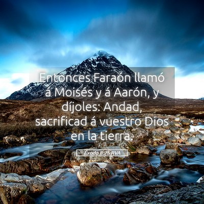Picture 05 - Éxodo 8:25 RVA - Entonces Faraón llamó á Moisés y á Aarón, y - Bible Verse Picture
