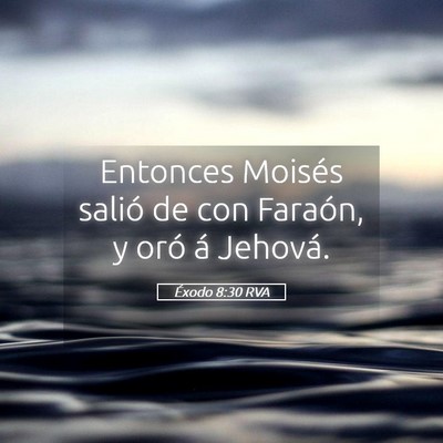 Picture 05 - Éxodo 8:30 RVA - Entonces Moisés salió de con Faraón, y oró á - Bible Verse Picture