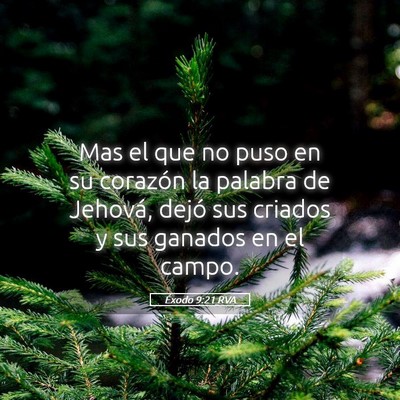 Picture 05 - Éxodo 9:21 RVA - Mas el que no puso en su corazón la palabra de - Bible Verse Picture