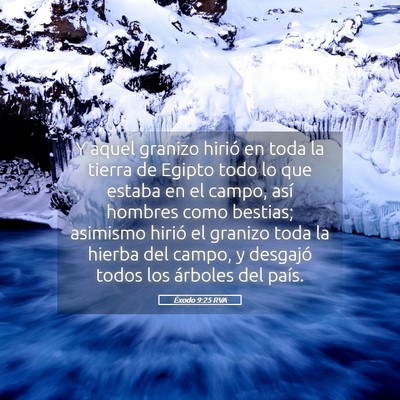 Picture 05 - Éxodo 9:25 RVA - Y aquel granizo hirió en toda la tierra de - Bible Verse Picture