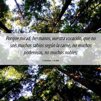Picture 06 - 1 Corintios 1:26 RVA - Porque mirad, hermanos, vuestra vocación, que no - Bible Verse Picture