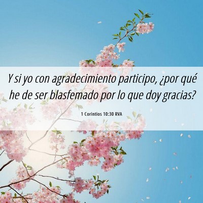Picture 06 - 1 Corintios 10:30 RVA - Y si yo con agradecimiento participo, ¿por qué - Bible Verse Picture