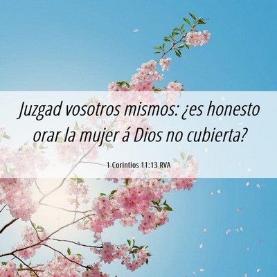 Picture 06 - 1 Corintios 11:13 RVA - Juzgad vosotros mismos: ¿es honesto orar la - Bible Verse Picture
