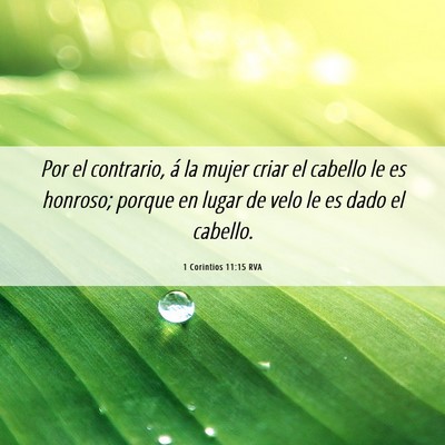 Picture 06 - 1 Corintios 11:15 RVA - Por el contrario, á la mujer criar el cabello le - Bible Verse Picture