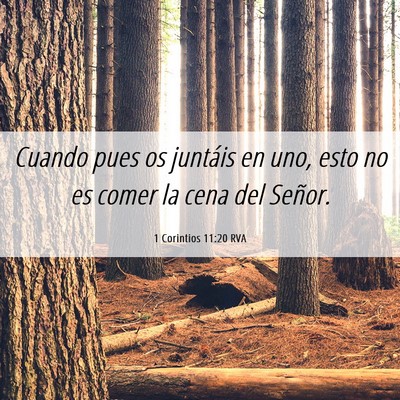 Picture 06 - 1 Corintios 11:20 RVA - Cuando pues os juntáis en uno, esto no es comer - Bible Verse Picture
