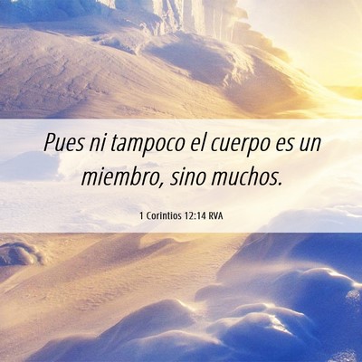 Picture 06 - 1 Corintios 12:14 RVA - Pues ni tampoco el cuerpo es un miembro, sino - Bible Verse Picture