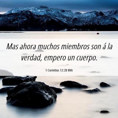 Picture 06 - 1 Corintios 12:20 RVA - Mas ahora muchos miembros son á la verdad, - Bible Verse Picture