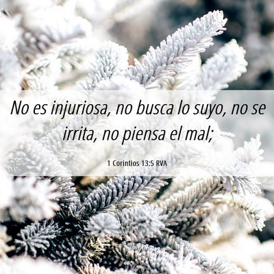 Picture 06 - 1 Corintios 13:5 RVA - No es injuriosa, no busca lo suyo, no se irrita, - Bible Verse Picture