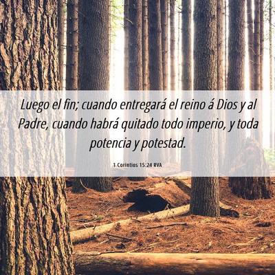 Picture 06 - 1 Corintios 15:24 RVA - Luego el fin; cuando entregará el reino á Dios - Bible Verse Picture