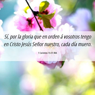 Picture 06 - 1 Corintios 15:31 RVA - Sí, por la gloria que en orden á vosotros tengo - Bible Verse Picture