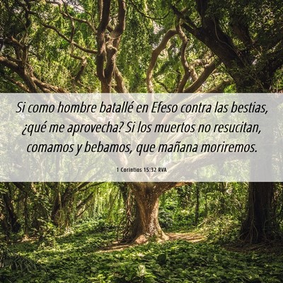 Picture 06 - 1 Corintios 15:32 RVA - Si como hombre batallé en Efeso contra las - Bible Verse Picture