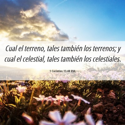 Picture 06 - 1 Corintios 15:48 RVA - Cual el terreno, tales también los terrenos; y - Bible Verse Picture