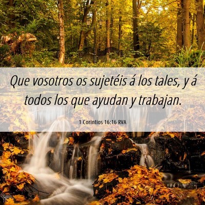 Picture 06 - 1 Corintios 16:16 RVA - Que vosotros os sujetéis á los tales, y á - Bible Verse Picture