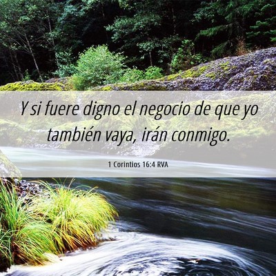 Picture 06 - 1 Corintios 16:4 RVA - Y si fuere digno el negocio de que yo también - Bible Verse Picture