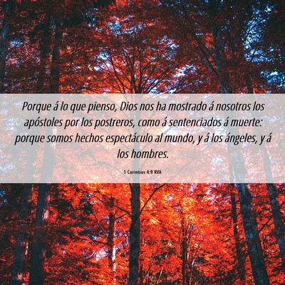 Picture 06 - 1 Corintios 4:9 RVA - Porque á lo que pienso, Dios nos ha mostrado á - Bible Verse Picture