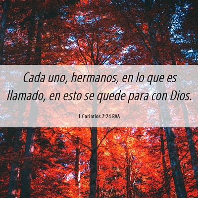 Picture 06 - 1 Corintios 7:24 RVA - Cada uno, hermanos, en lo que es llamado, en esto - Bible Verse Picture