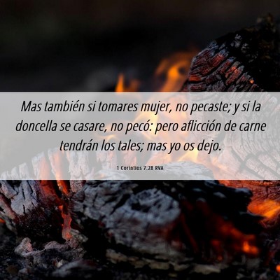 Picture 06 - 1 Corintios 7:28 RVA - Mas también si tomares mujer, no pecaste; y si - Bible Verse Picture