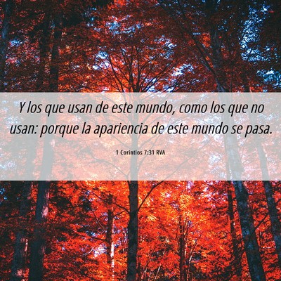 Picture 06 - 1 Corintios 7:31 RVA - Y los que usan de este mundo, como los que no - Bible Verse Picture